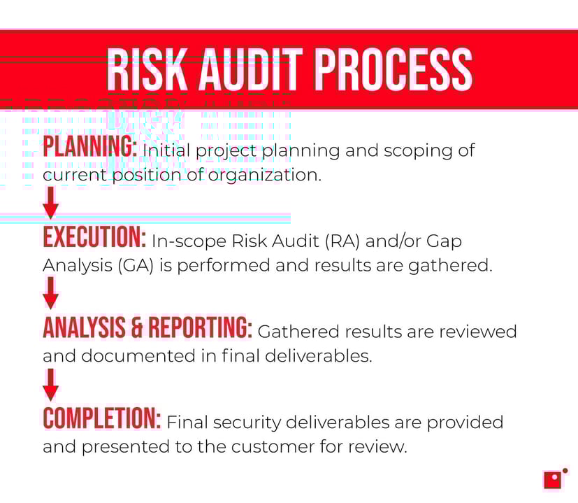 risk audit process