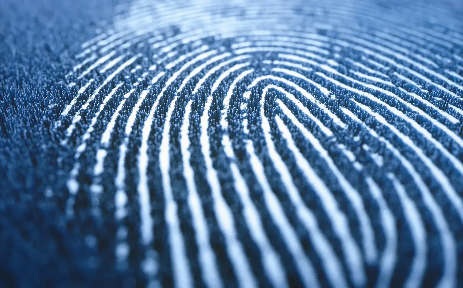 Solutions_Identity_Access_Management_Insights_D_da0df3dc59